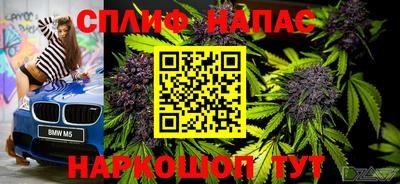 ПСИЛОЦИБИНОВЫЕ ГРИБЫ Бузулук