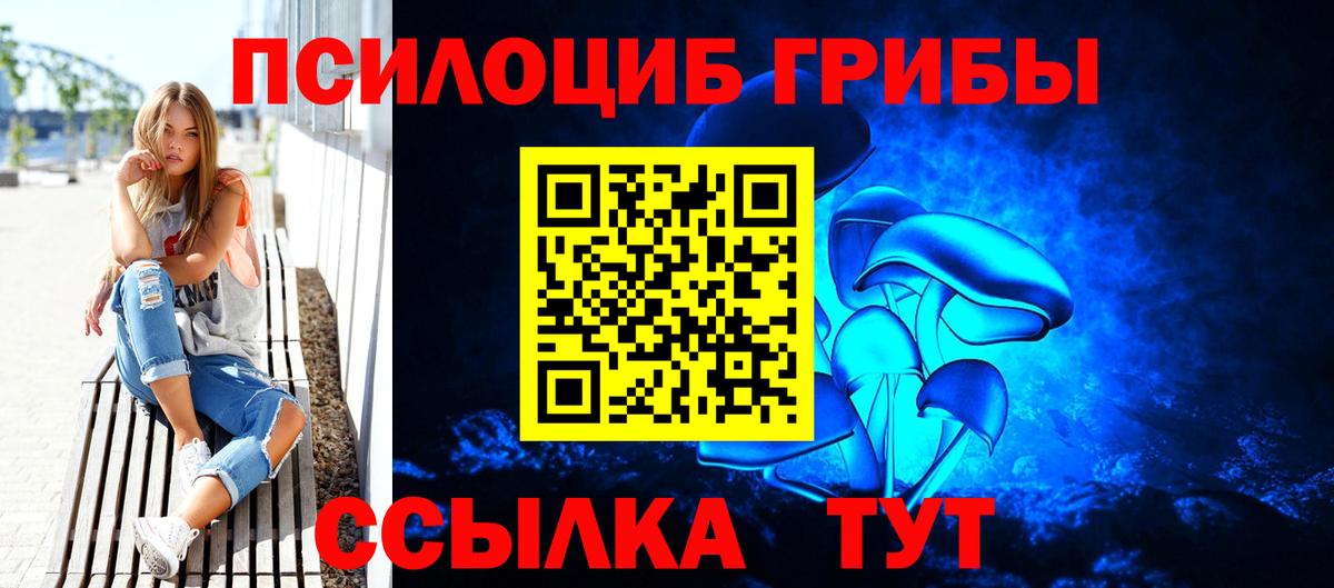 Псилоцибиновые грибы прущие грибы Шелехов